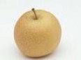 Chinese Pear