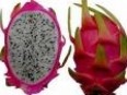 Dragon Fruit