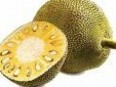 Jack Fruit