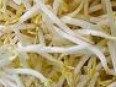 Mung Bean Sprouts