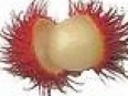 Rambutan Fruit