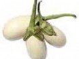 Small White Egg Plant