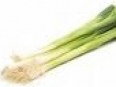 Spring Onion