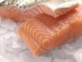 Salmon Fillets