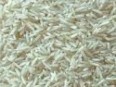 basmati broken rice