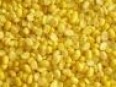 Peeled Mungbeans
